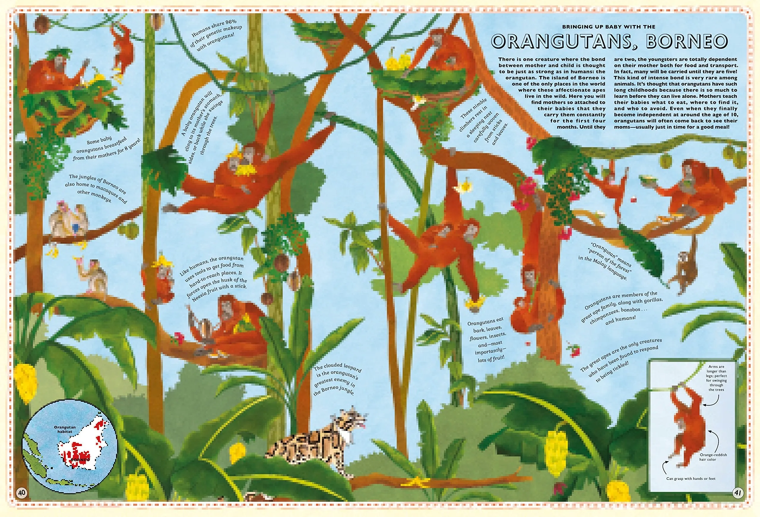 ATLAS OF ANIMAL ADVENTURES