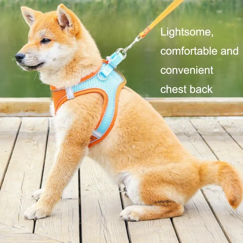 Breathable Reflective Pet Chest Strap Vest With Traction Rope Xxxs