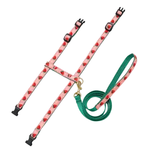Cat Harness & Leash | Strawberry Fields
