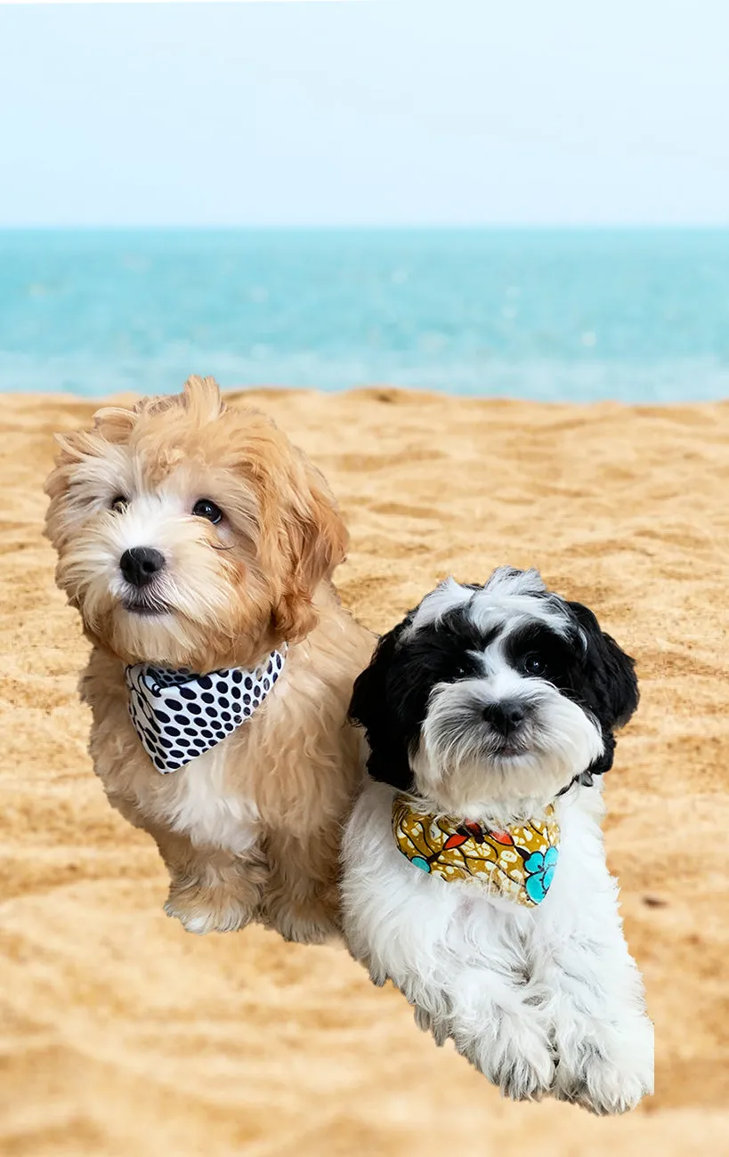 Doggy Bandana - Reversible