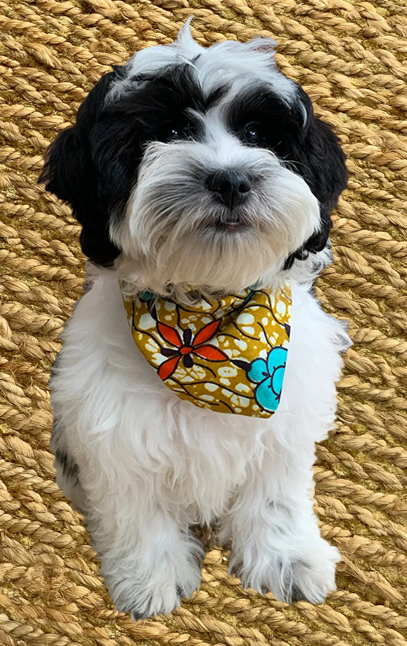 Doggy Bandana - Reversible