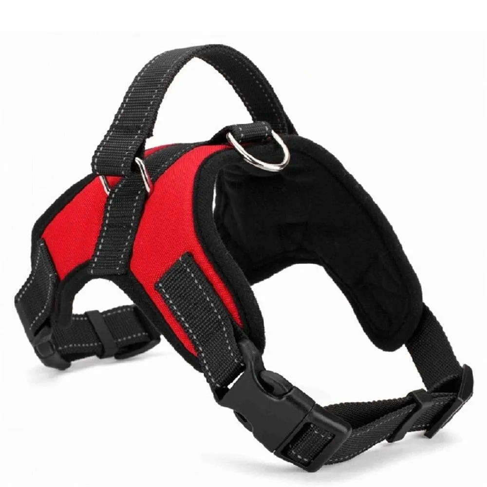 Dog's Casual Nylon Harness