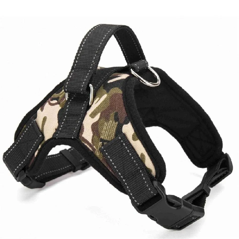 Dog's Casual Nylon Harness