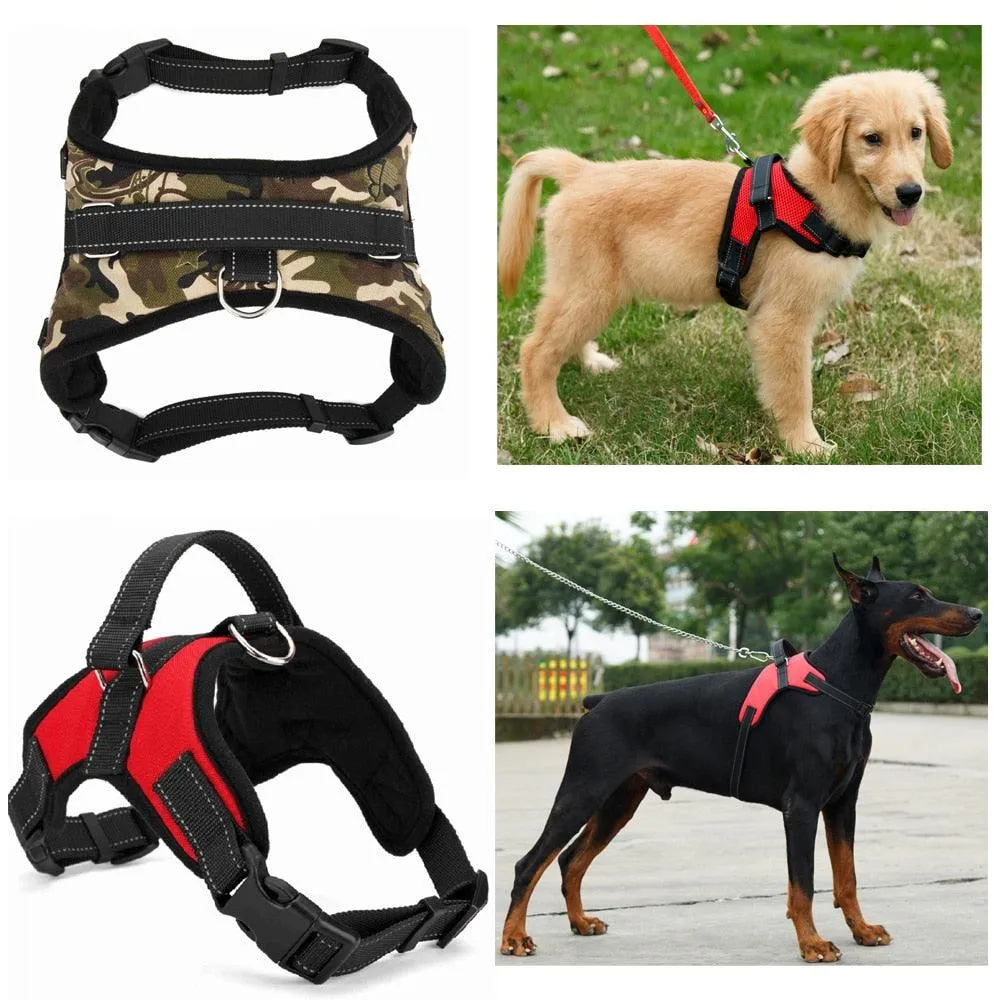 Dog's Casual Nylon Harness