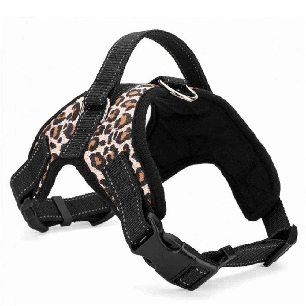 Dog's Casual Nylon Harness