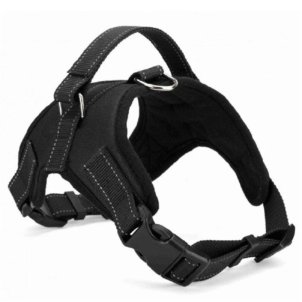 Dog's Casual Nylon Harness