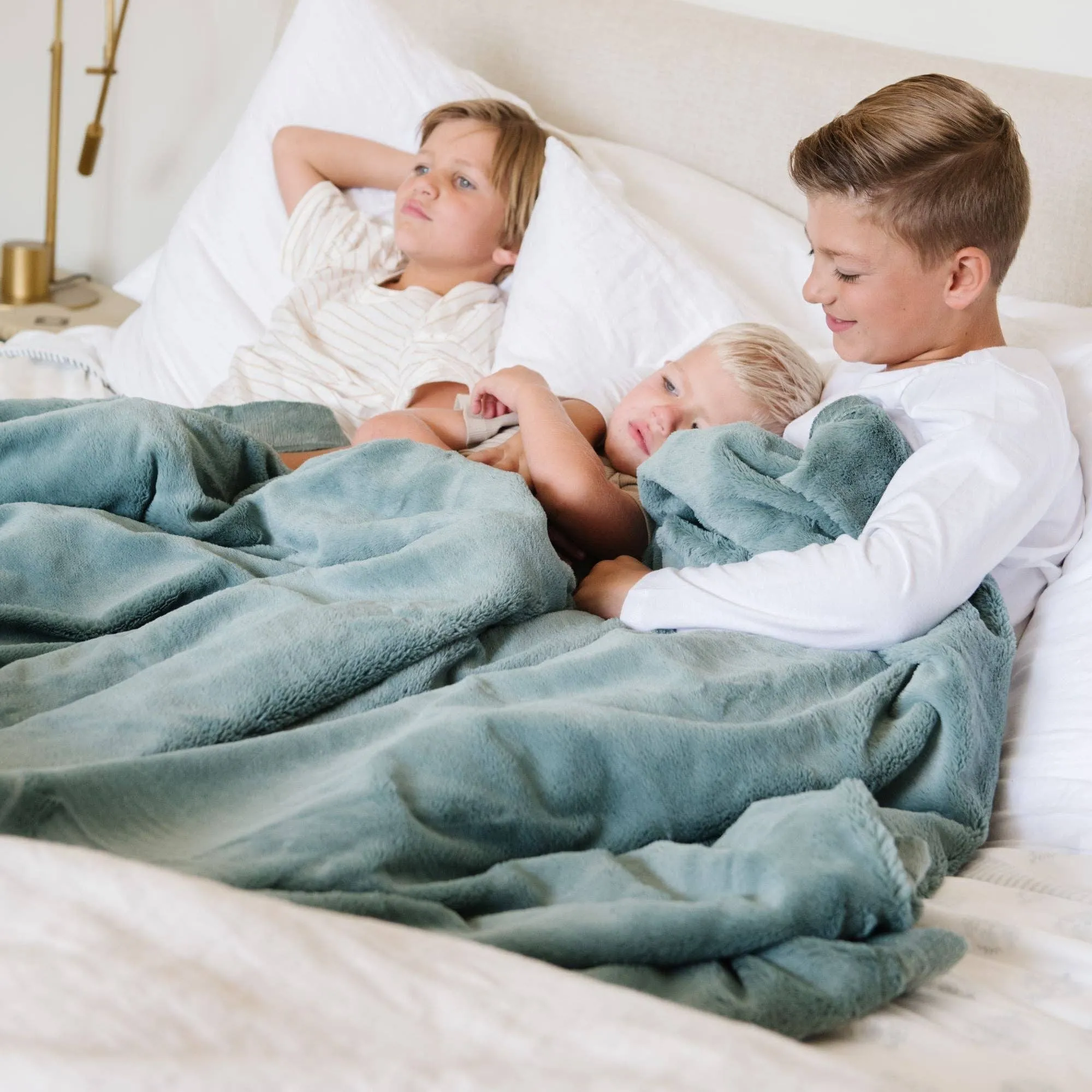 LUSH XL BLANKETS: Chiffon