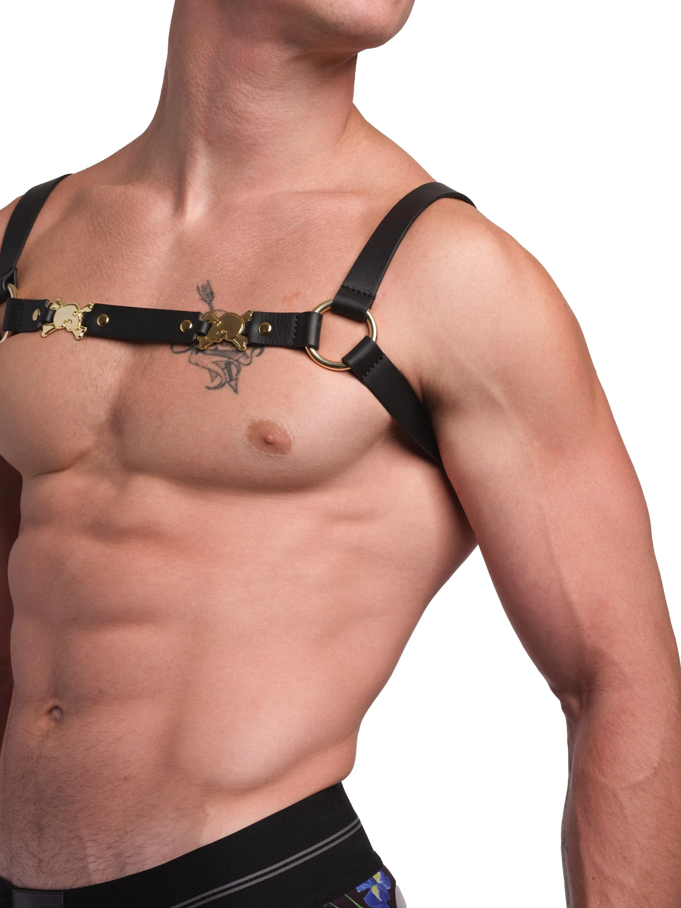 Signature Leather Harness
