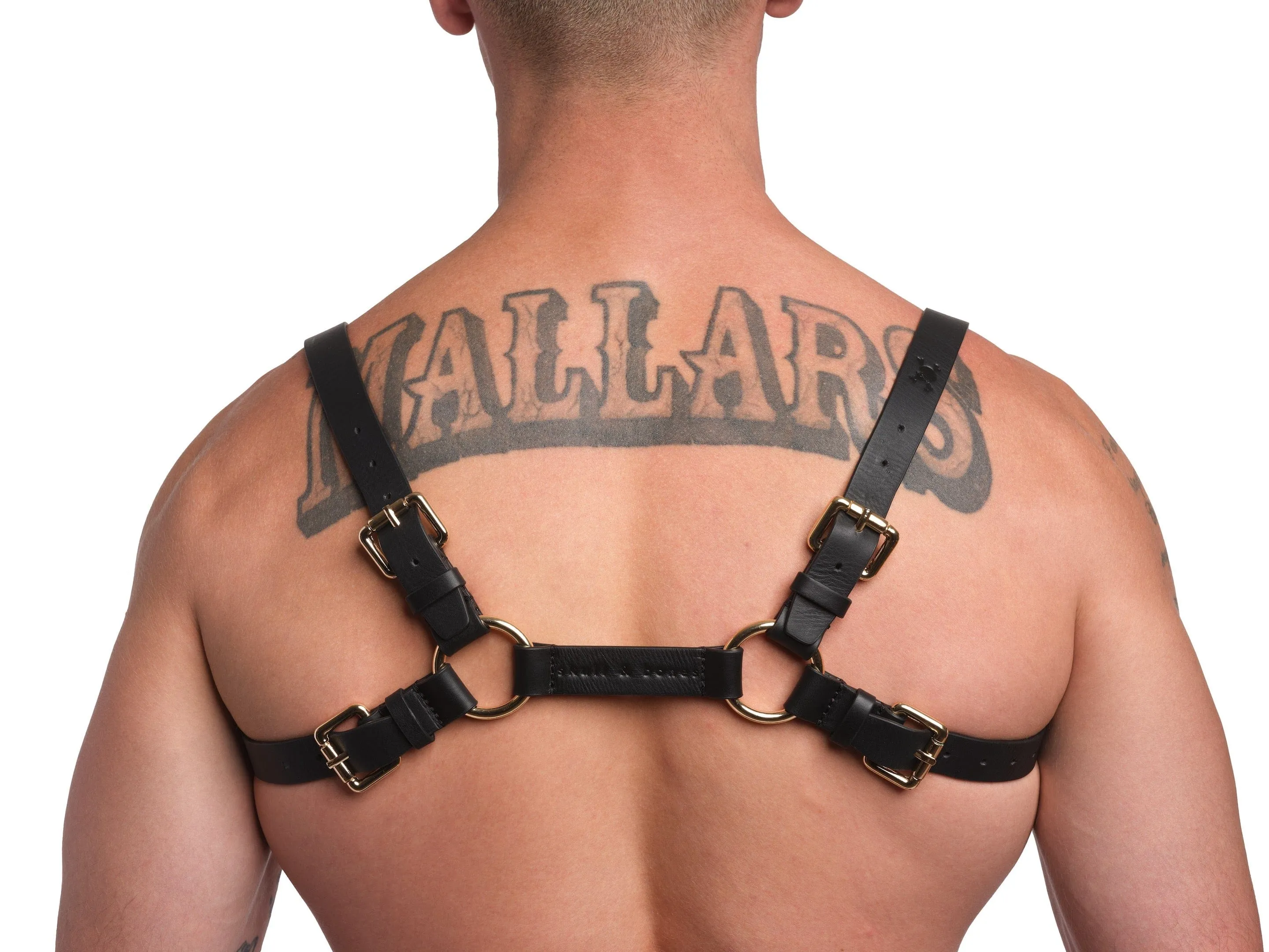 Signature Leather Harness