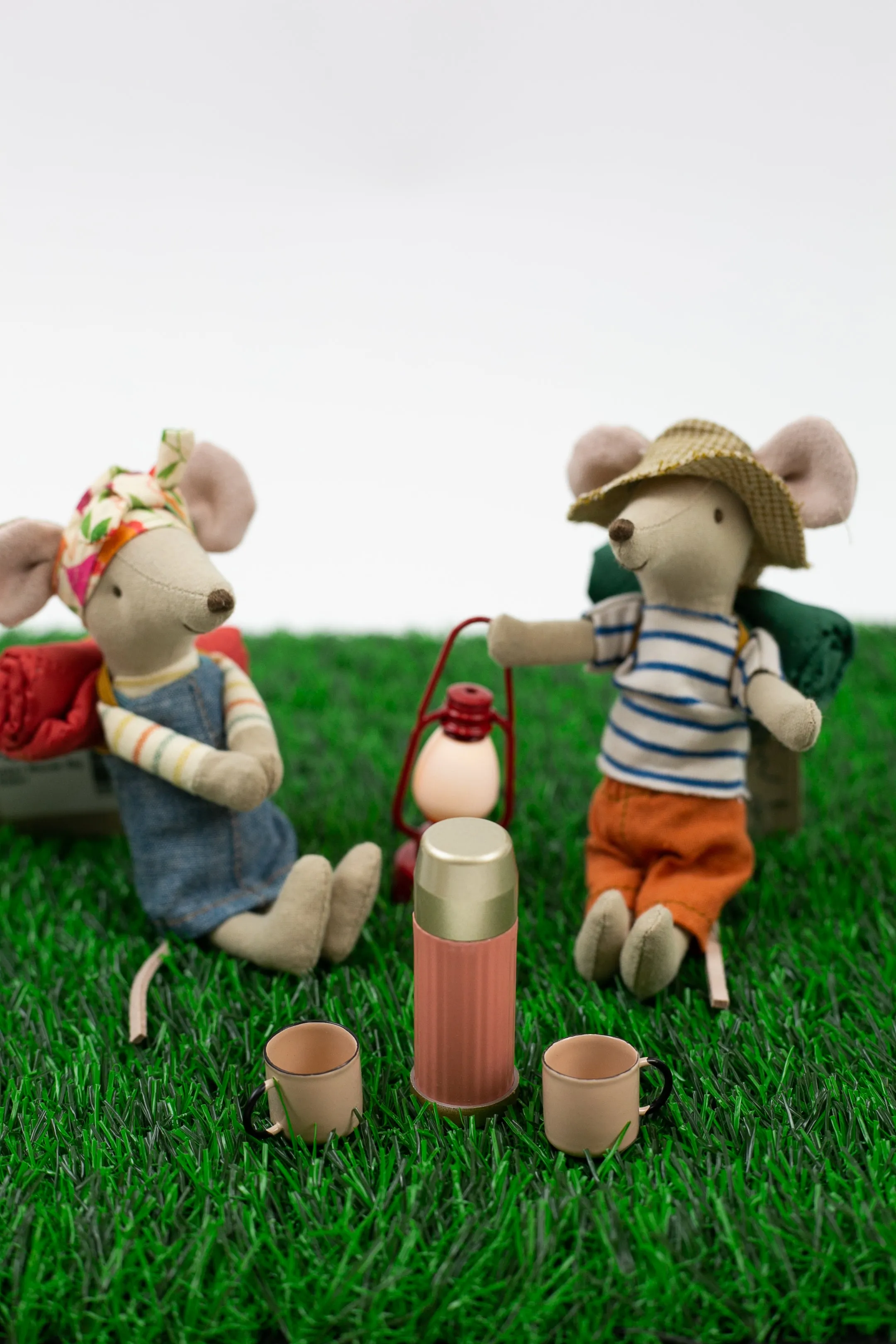 Thermos and Cups