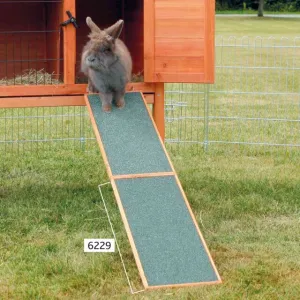 Wooden Ramp